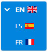 banderas idiomas personalizadas