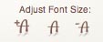 frontend font size adjuster